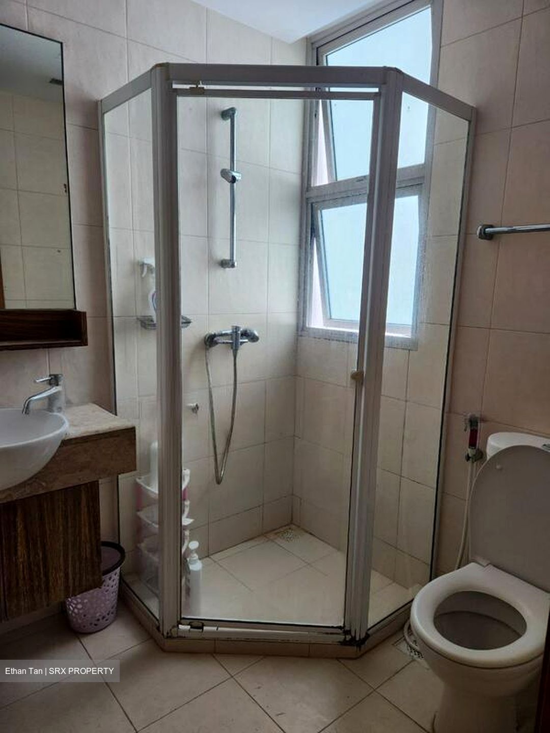 Gardenvista (D21), Condominium #497737161